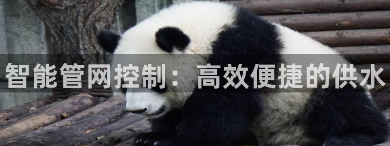 富邦娱乐网