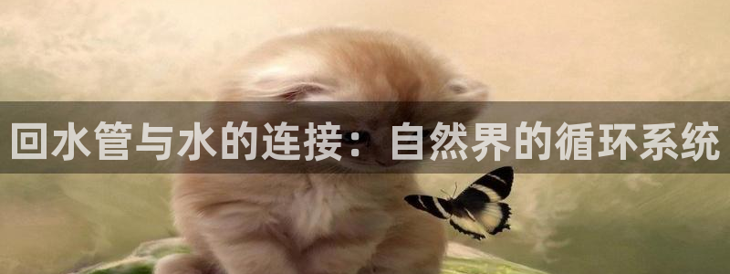 富邦娱乐靠谱不