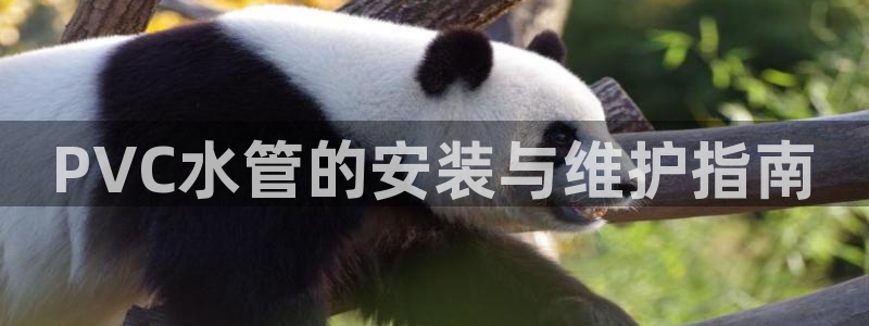 富邦娱乐首页