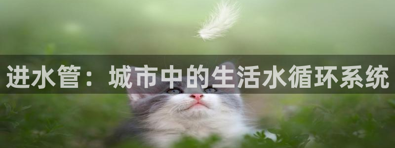 北仑富邦推荐娱乐项目