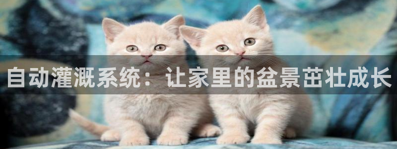 富邦娱乐计划