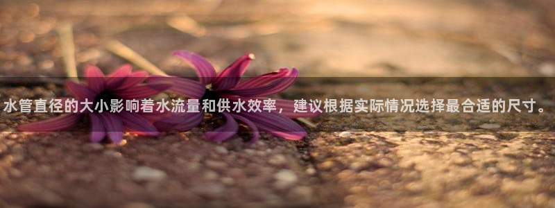 宁波北仑富邦娱乐