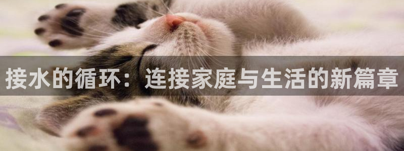 富邦娱乐平台最新公告