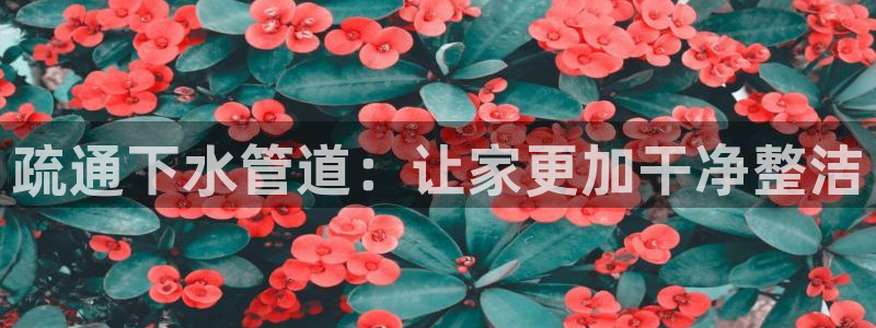 富邦娱乐网站登录