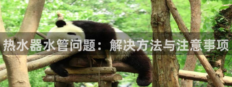 富邦娱乐计划