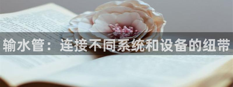 富邦娱乐线路