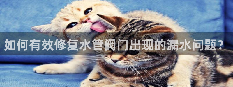 富邦娱乐提现不了