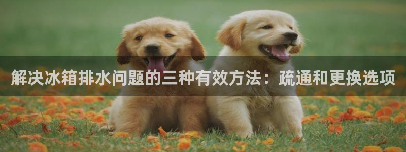 富邦娱乐线路