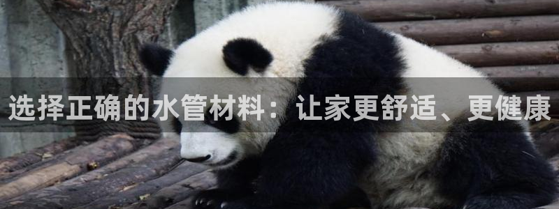 富邦娱乐平台登录入口官网