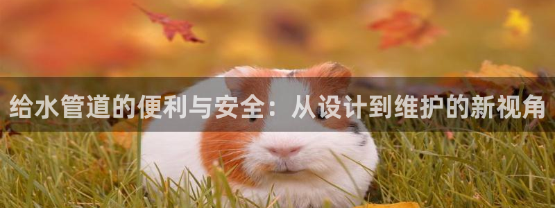 富邦娱乐 果敢锦海