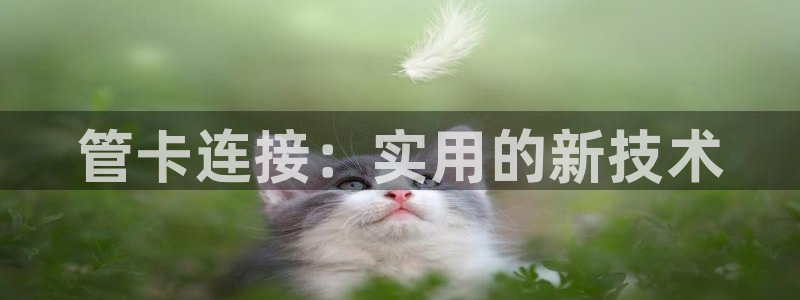 富邦商务娱乐会所电话