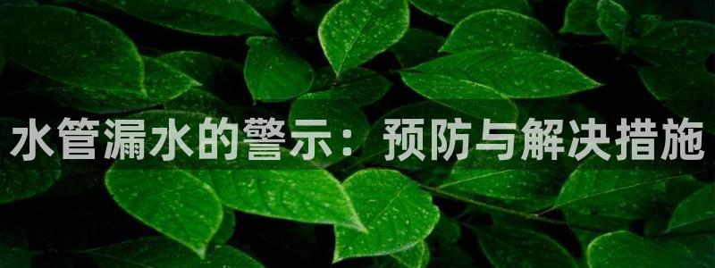 富邦娱乐团购活动