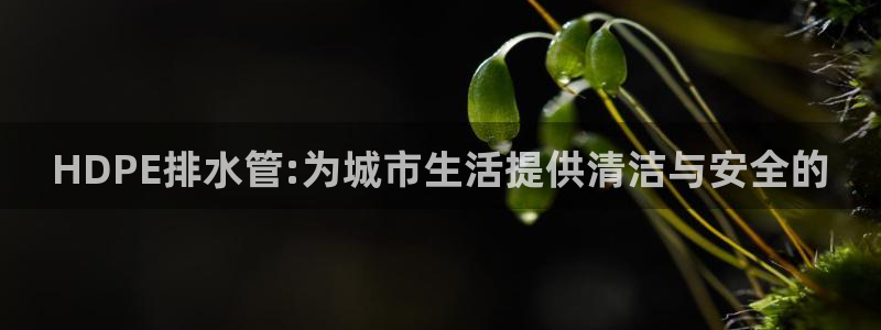 屏山富邦娱乐会所怎么样