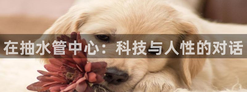 富邦娱乐花花公子