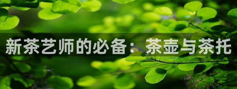 富邦娱乐2024最新消息