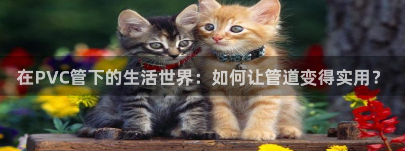富邦娱乐官网最新网址