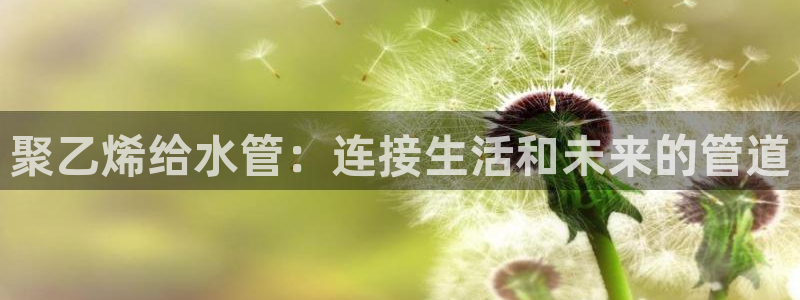 富邦娱乐城 皇恩靠谱
