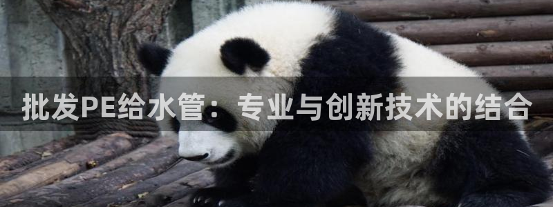 富邦佳丽娱乐厅