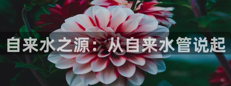 富邦广场北仑娱乐