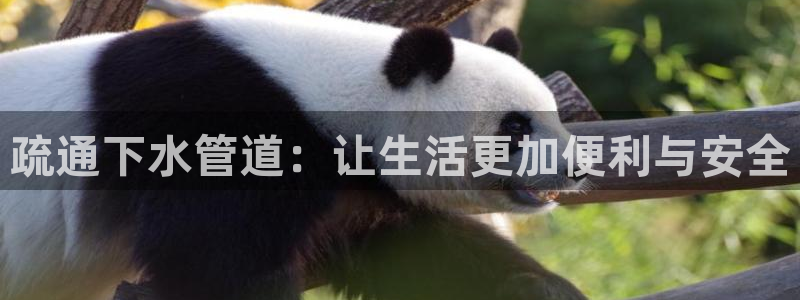 富邦娱乐首页