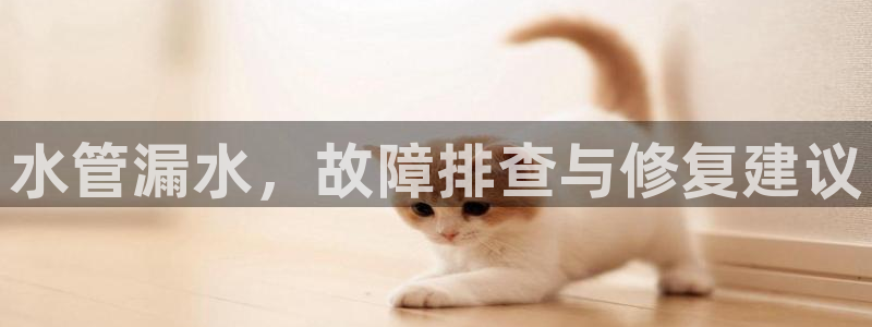 邦富娱乐国际