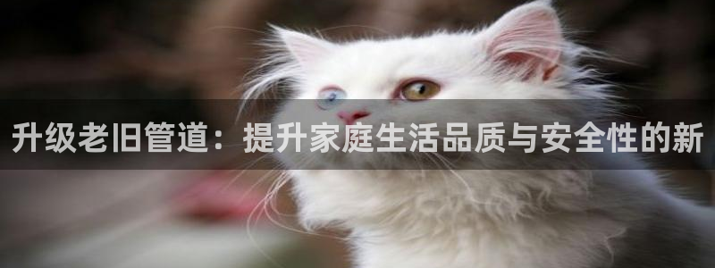 富邦娱乐fub
