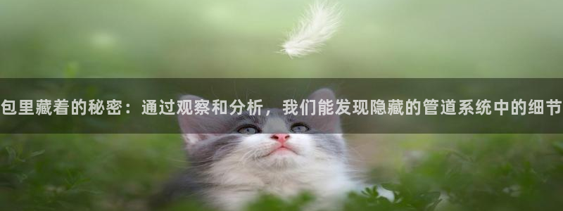 富邦翡翠娱乐会所电话号码