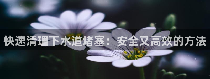 富邦线上娱乐城