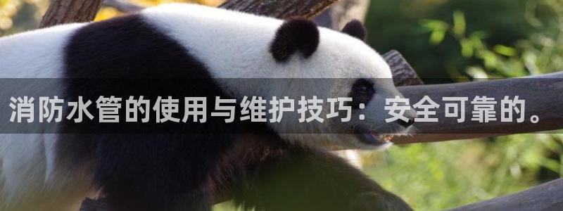 临平富邦娱乐会所