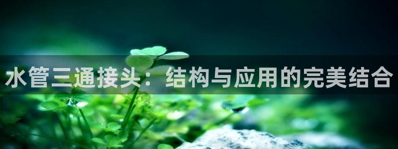 富邦娱乐团购卡怎么用啊