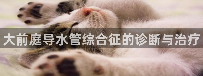 富邦娱乐场线路