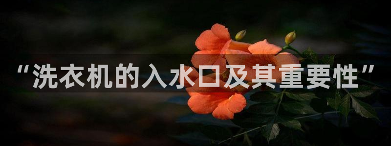 富邦娱乐登录探索无限空间