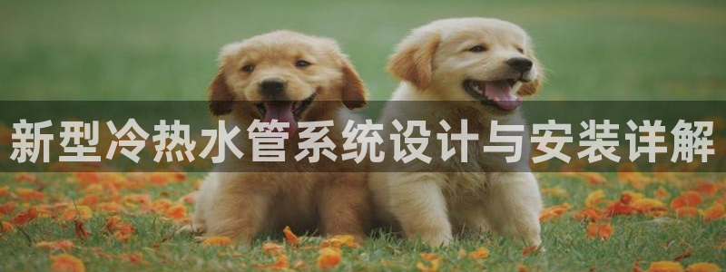 屏山富邦娱乐会所电话地址