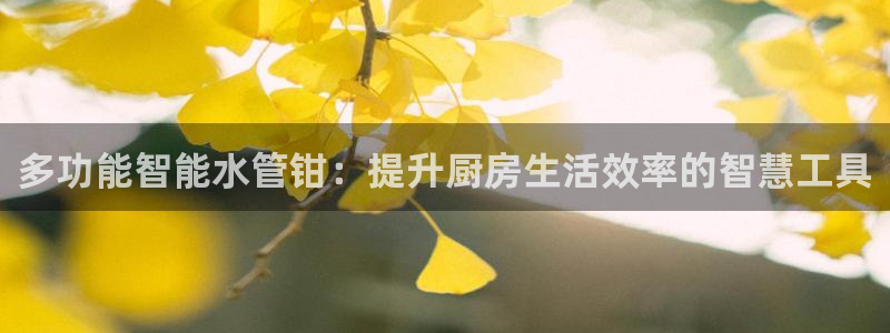 屏山富邦娱乐会所