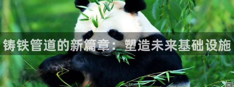 富邦娱乐-皇恩靠谱