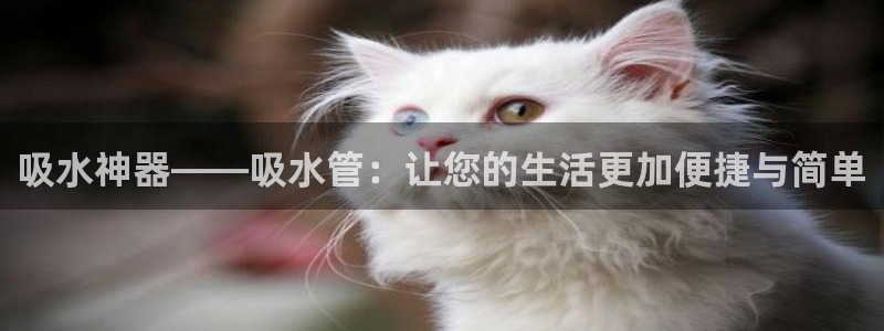 富邦娱乐登入 全礴网