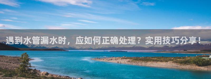 富邦娱乐有限公司