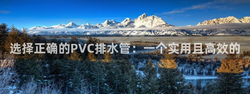 菲律宾富邦娱乐