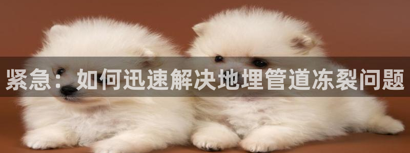 富邦娱乐官网上全狐网