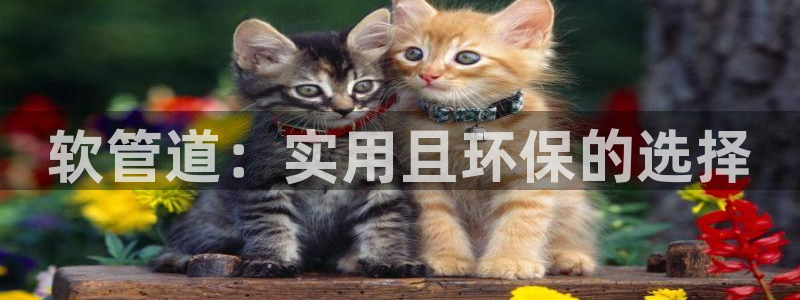 屏山富邦娱乐会所电话地址