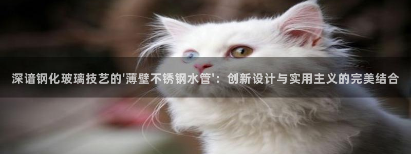 北仑富邦推荐娱乐项目