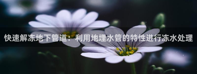 富邦娱乐平台-皇恩靠谱