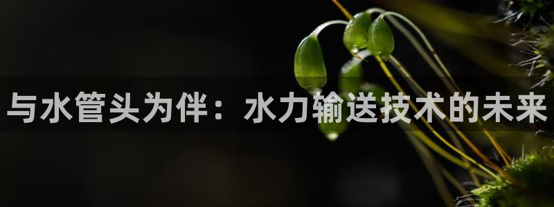 富邦广场儿童娱乐场所