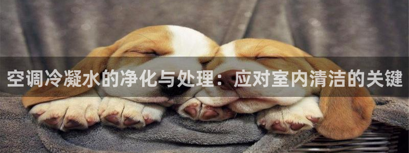 临平富邦星座娱乐会所