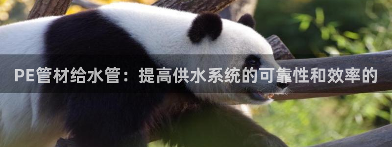 富邦娱乐国际会所杭州