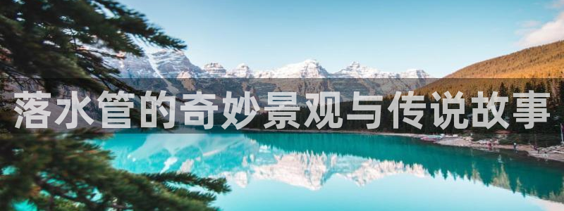 富邦商务娱乐会所怎么样