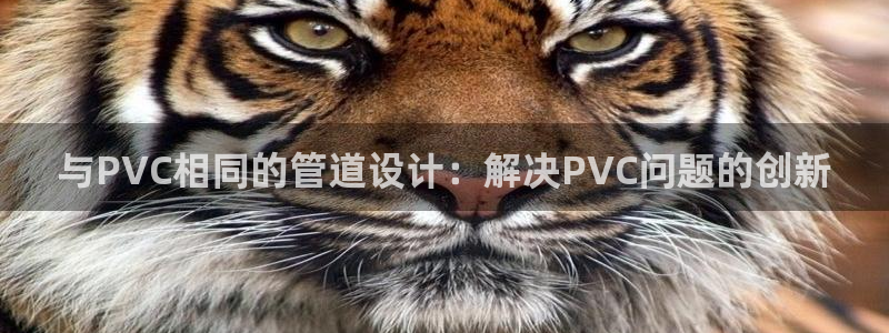 富邦娱乐城打牌
