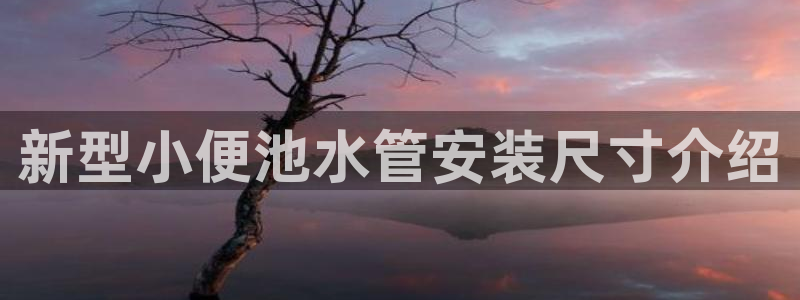 富邦娱乐计划