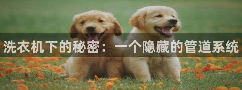 富邦娱乐团购